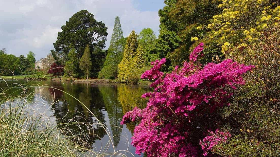 Sheffield Park Gardens